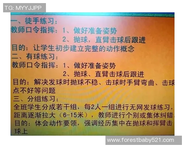 南京排球队的节奏体系与排球战术的完美结合探讨