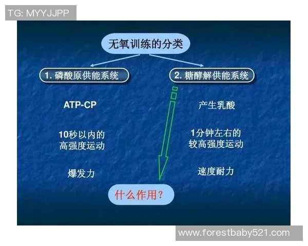 广州羽毛球队耐力对比深度解析及其对比赛表现的影响分析 广州羽毛球队耐力对比深度解析及其对比赛表现的影响分析