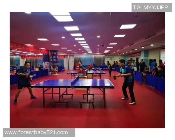 成都乒乓球队在联合会杯中的个人能力表现全面分析与点评