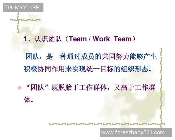 杭州足球队进攻体系解析：战术创新与团队协作的完美结合