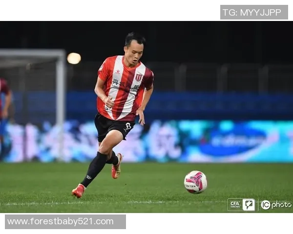 武汉篮球队强势领跑精英赛积分榜积分高达73分彰显实力