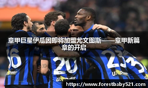 yy易游