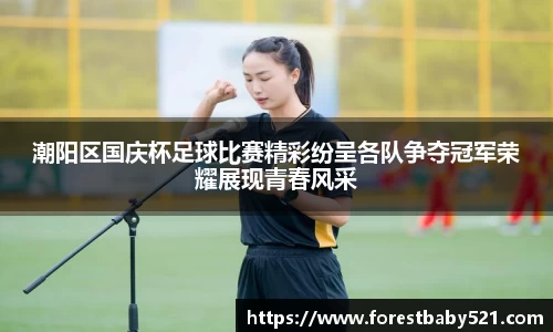 潮阳区国庆杯足球比赛精彩纷呈各队争夺冠军荣耀展现青春风采