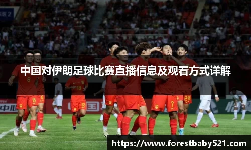 yy易游