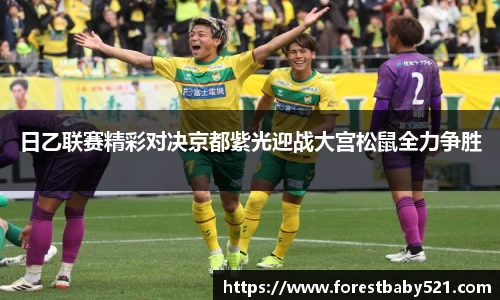 日乙联赛精彩对决京都紫光迎战大宫松鼠全力争胜