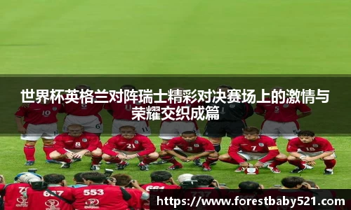 世界杯英格兰对阵瑞士精彩对决赛场上的激情与荣耀交织成篇
