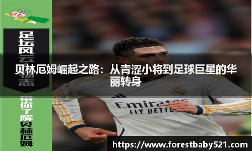 易游